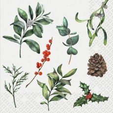 Misteln, Zapfen, Ilex & grüne Zweige - Mistletoes, cones, Ilex & green branches - Mistletoes, cônes, Ilex et branches vertes