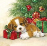 süsser Welpe am Weihnachtsbaum - cute puppy at the Christmas tree - chiot mignon à l arbre de Noël